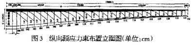 图3 纵向预应力束布置立面图