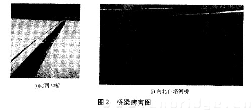 图2 桥梁病害图