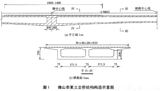 图1 佛山市某立交桥结构构造示意图