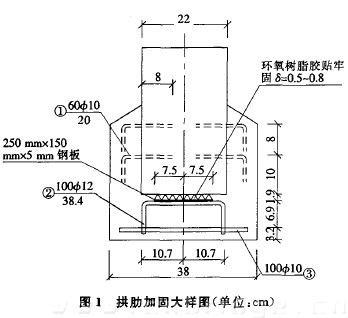 图1 拱肋加固大样图（单位：cm）