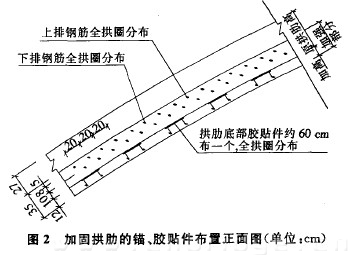 图2 加固拱肋的锚、胶贴件布置正面图（单位：cm）