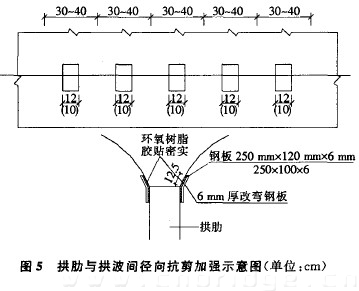 图5 拱肋与拱波间径向抗剪加强示意图（单位：cm）