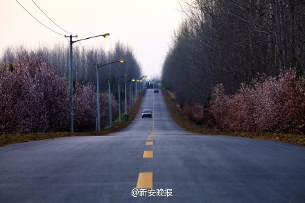 合肥最美乡村公路